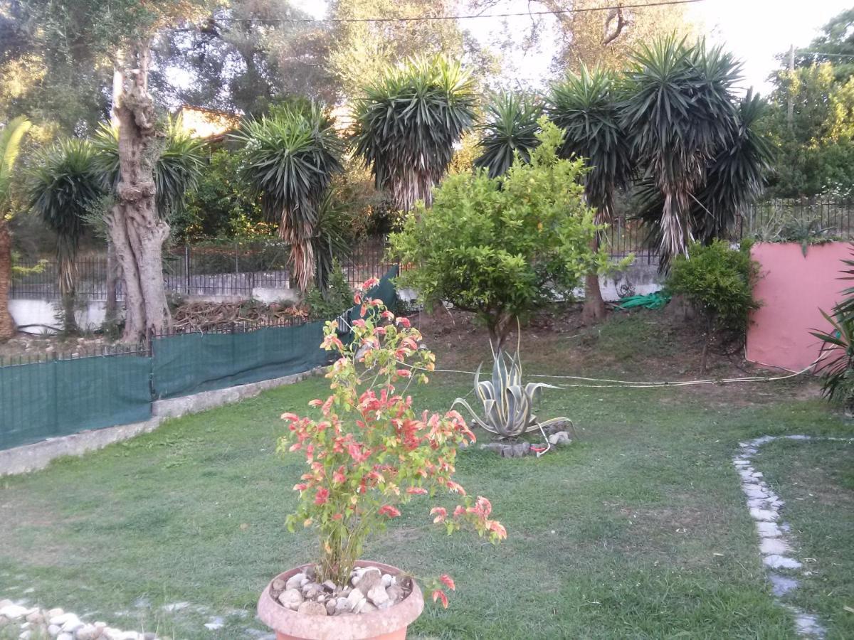 Stathis Apartament Dassia (Corfu)